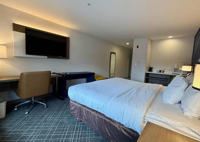Comfort Inn & Suites Sturbridge-Brimfield